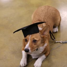 photograph by PeterW